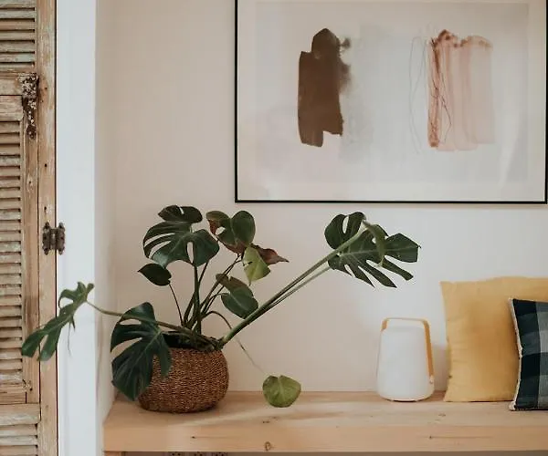 לינה וארוחת בוקר Bel Estiu Saint-Genies